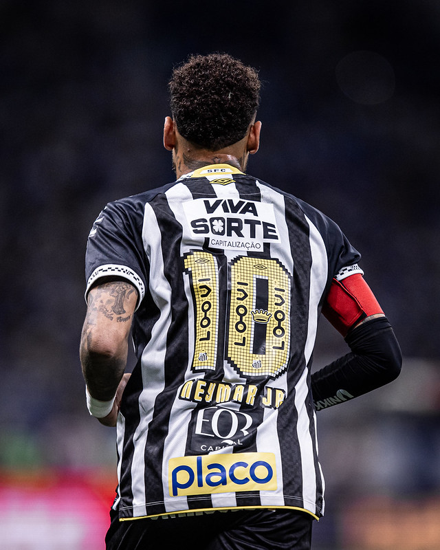 Foto: Raul Baretta/SFC - Notícias do Santos FC