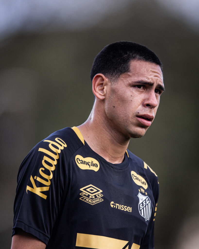Foto: Raul Baretta/Santos FC - Jogos do Santos