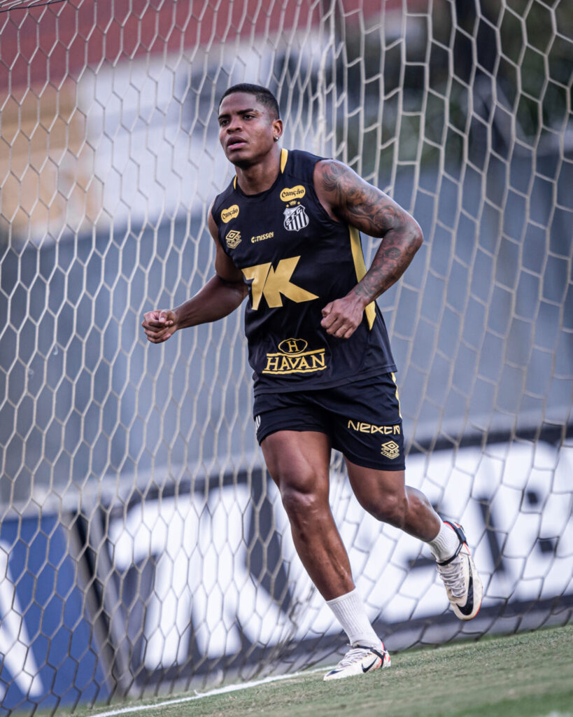 Foto: Raul Baretta - Notícias do Santos