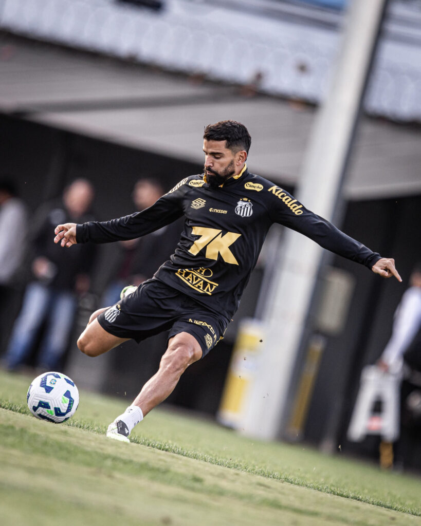 Foto: Raul Baretta/SFC - Notícias do Santos