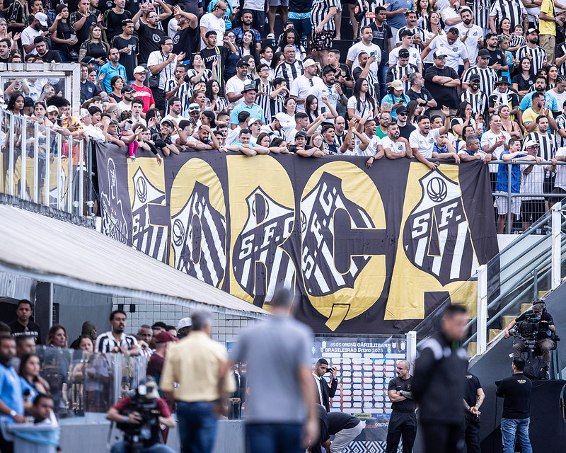 Foto: Raul Baretta/SFC - Notícias do Santos