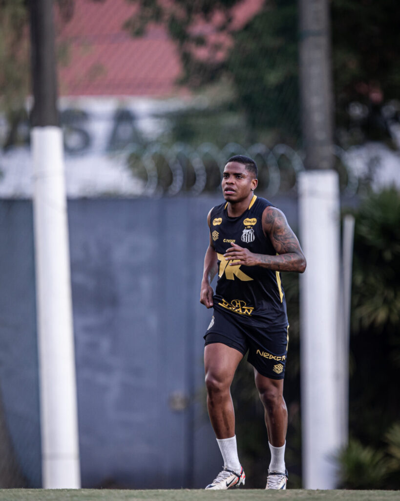 Foto: Raul Baretta / Santos FC