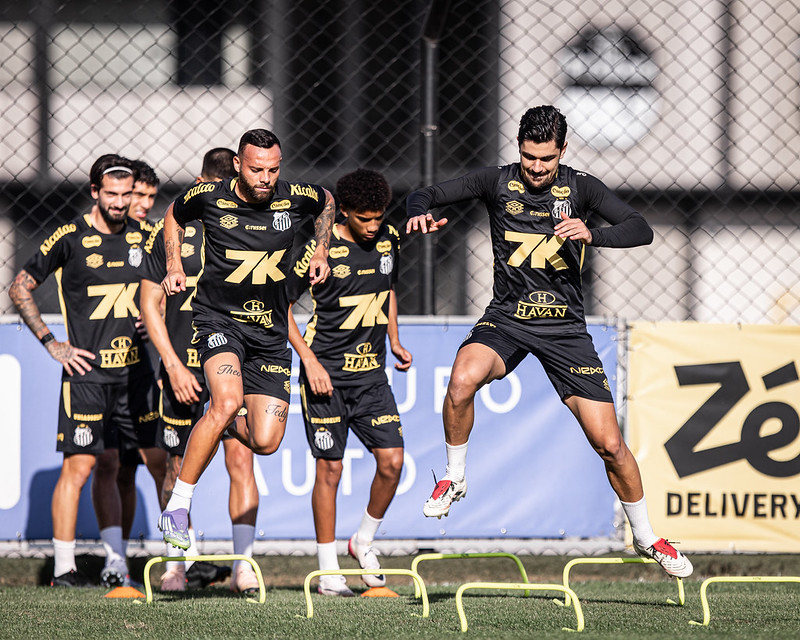 Foto: Raul Baretta/SFC - Notícias do Santos