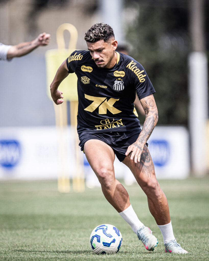 Foto: Raul Baretta/SFC - Notícias do Santos