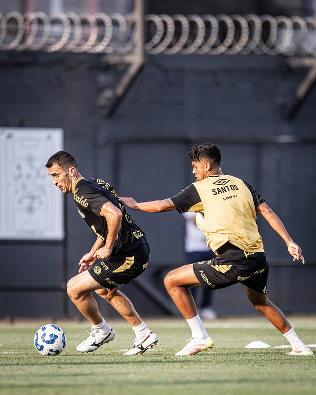 Foto: Raul Baretta/SFC - Jogos do Santos