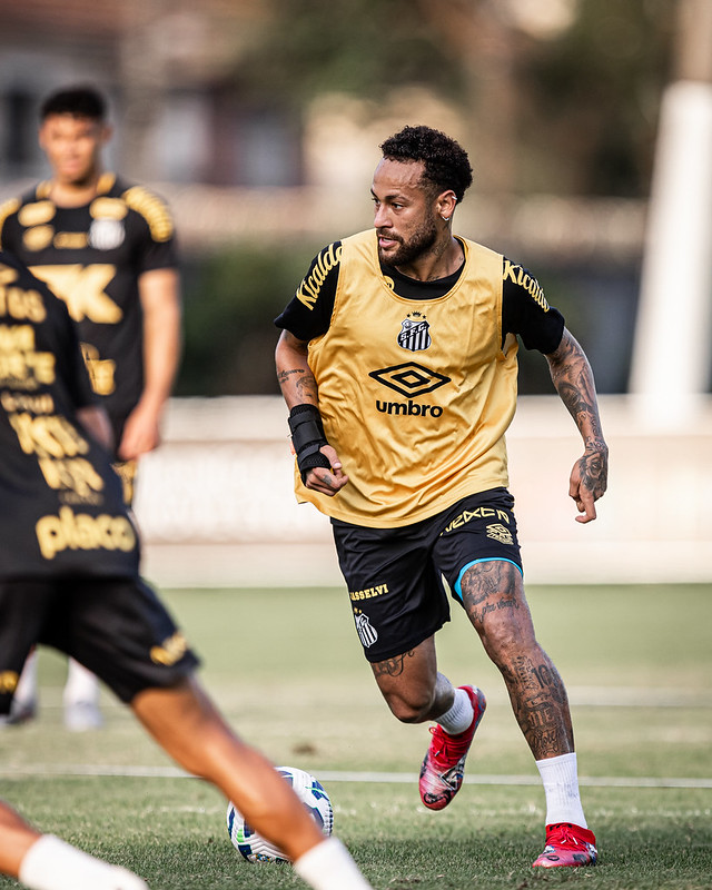 Foto: Raul Baretta/SFC - Jogos do Santos