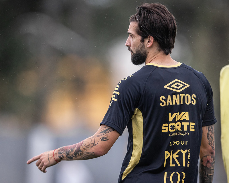 Foto: Raul Baretta/SFC - Notícias do Santos