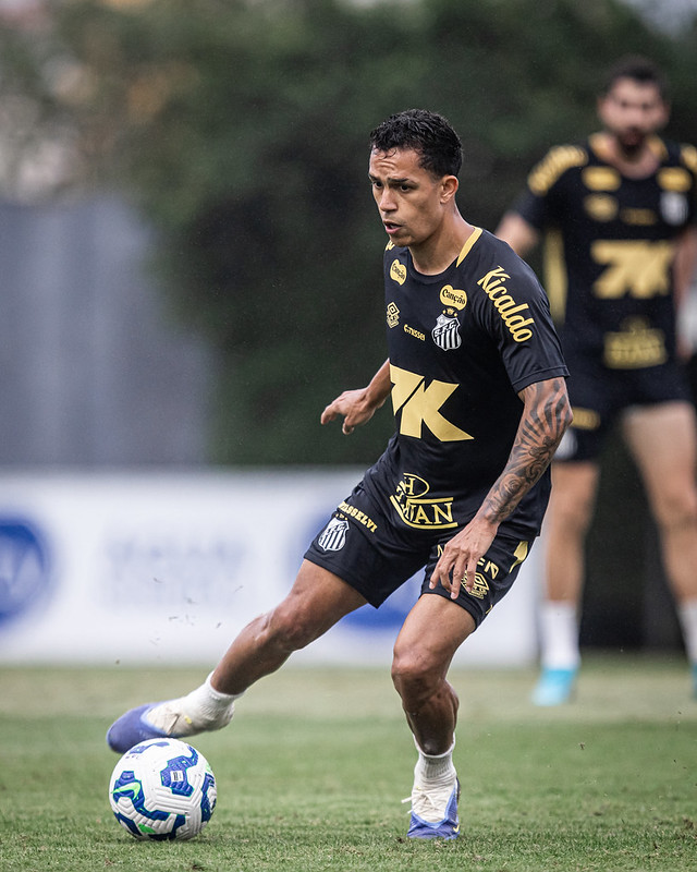 Foto: Raul Baretta/SFC - Jogos do Santos