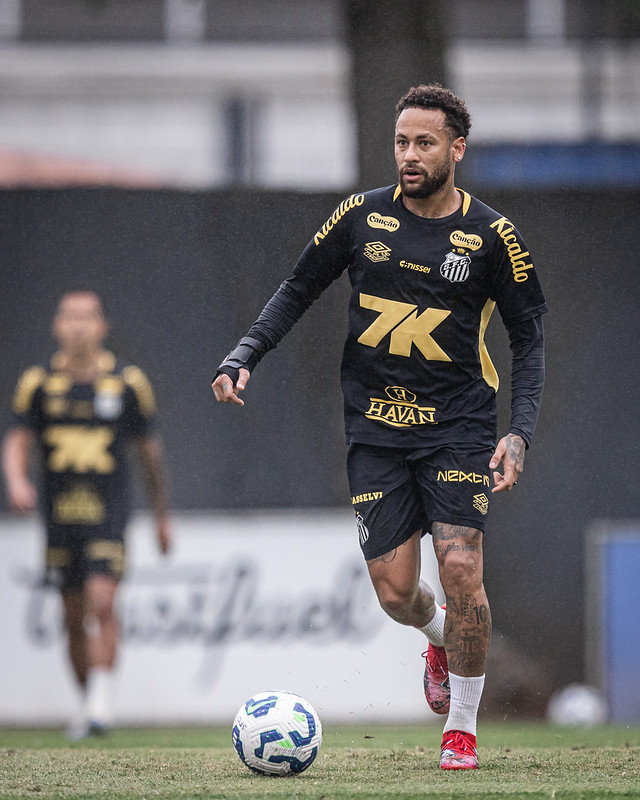 Foto: Raul Baretta/SFC - Jogos do Santos