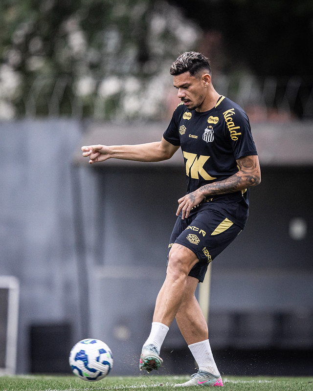 Foto: Raul Baretta/SFC - Notícias do Santos