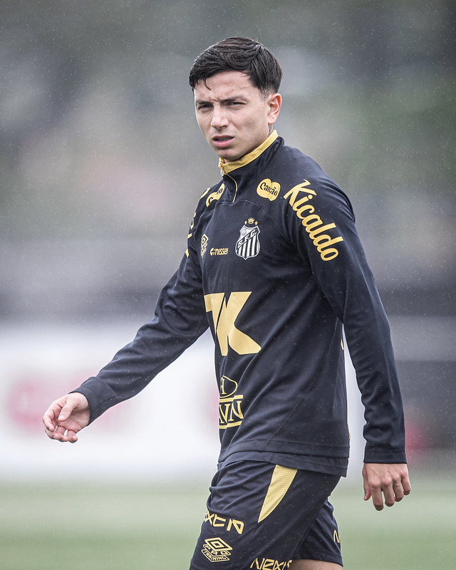 Foto: Raul Baretta/SFC - Notícias do Santos