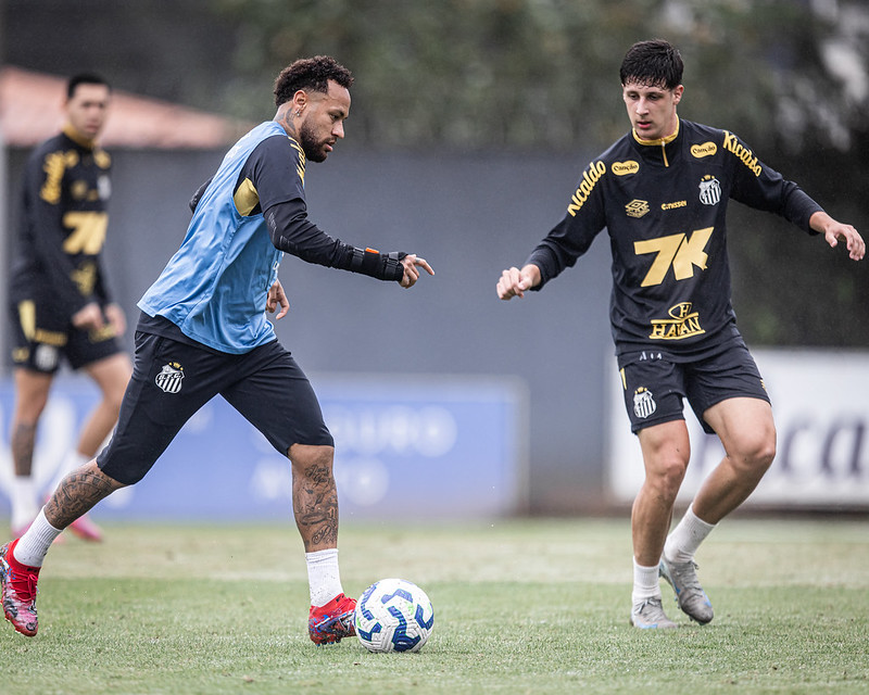 Foto: Raul Baretta/SFC - Jogos Santos FC