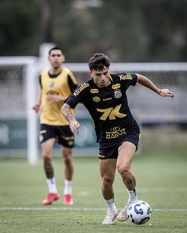 Foto: Raul Baretta / Santos