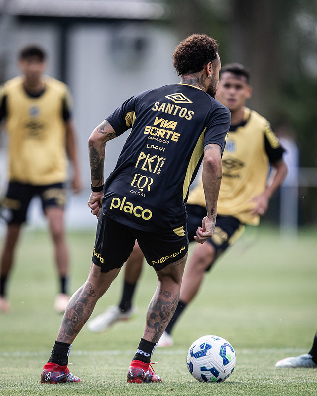 Foto: Raul Baretta / Santos