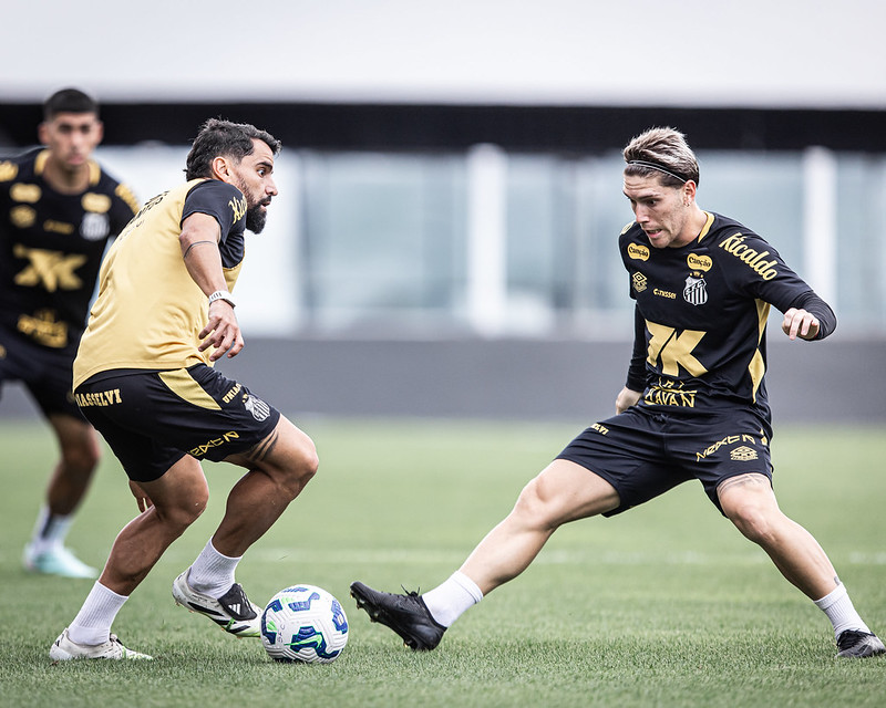 Foto: Raul Baretta / Santos
