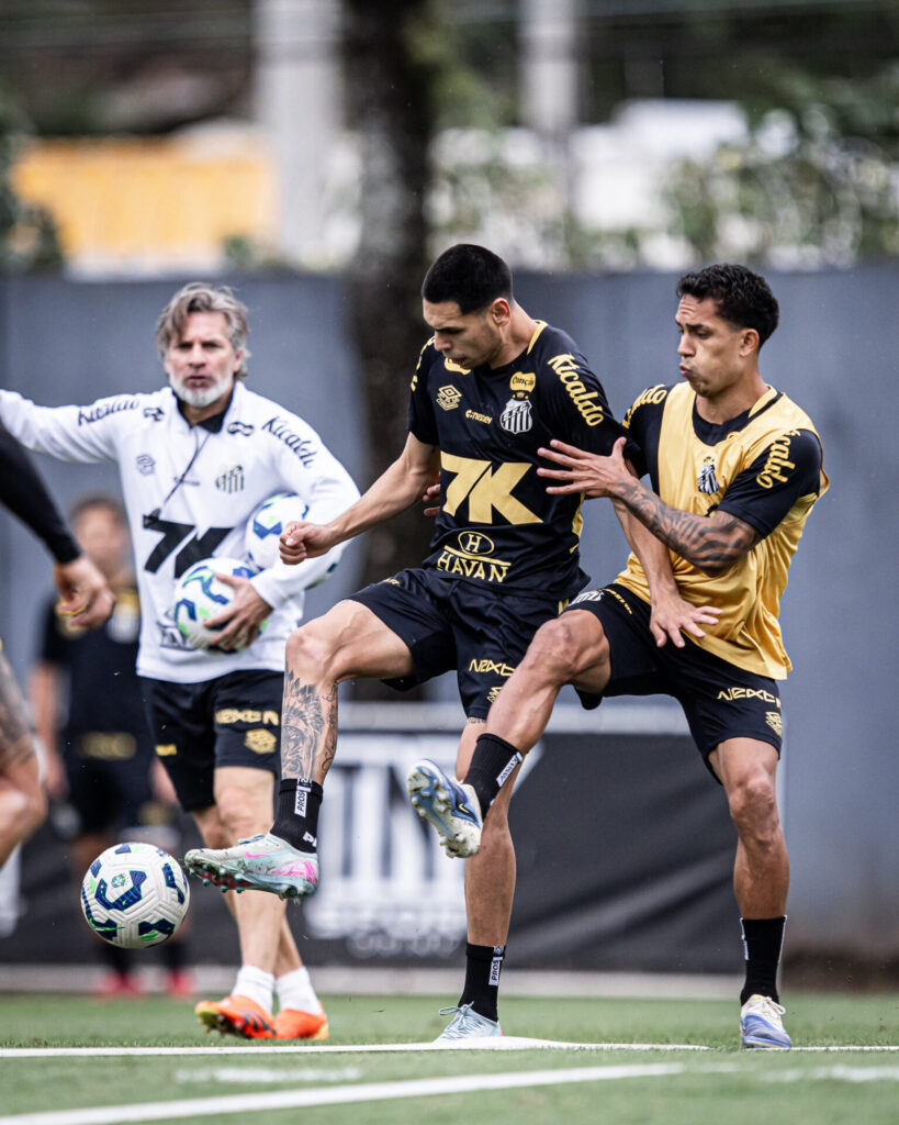 Foto: Raul Baretta / Santos