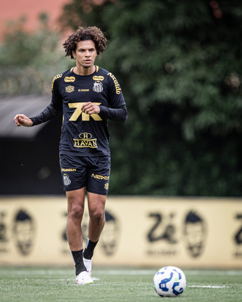 Foto: Raul Baretta/ Santos FC