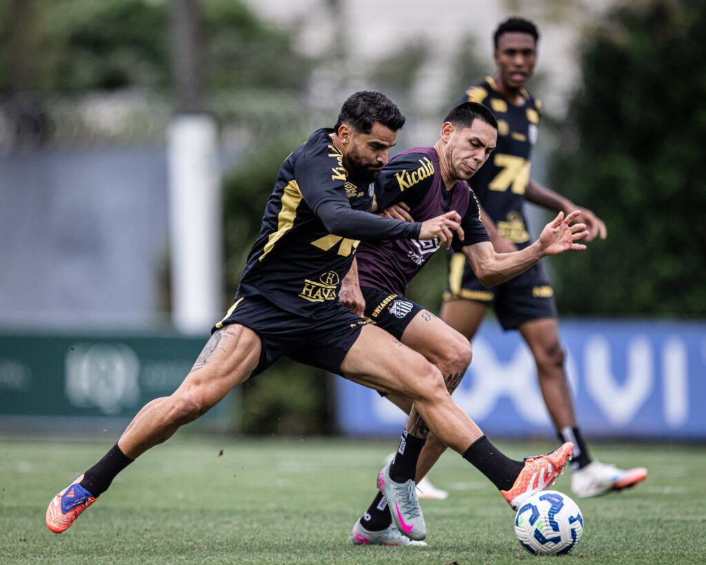 Foto: Raul Baretta / Santos