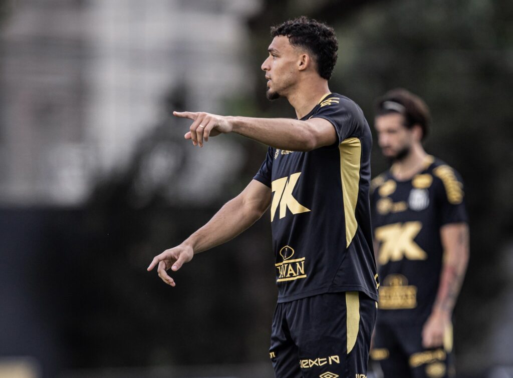 Foto: Raul Baretta / Santos