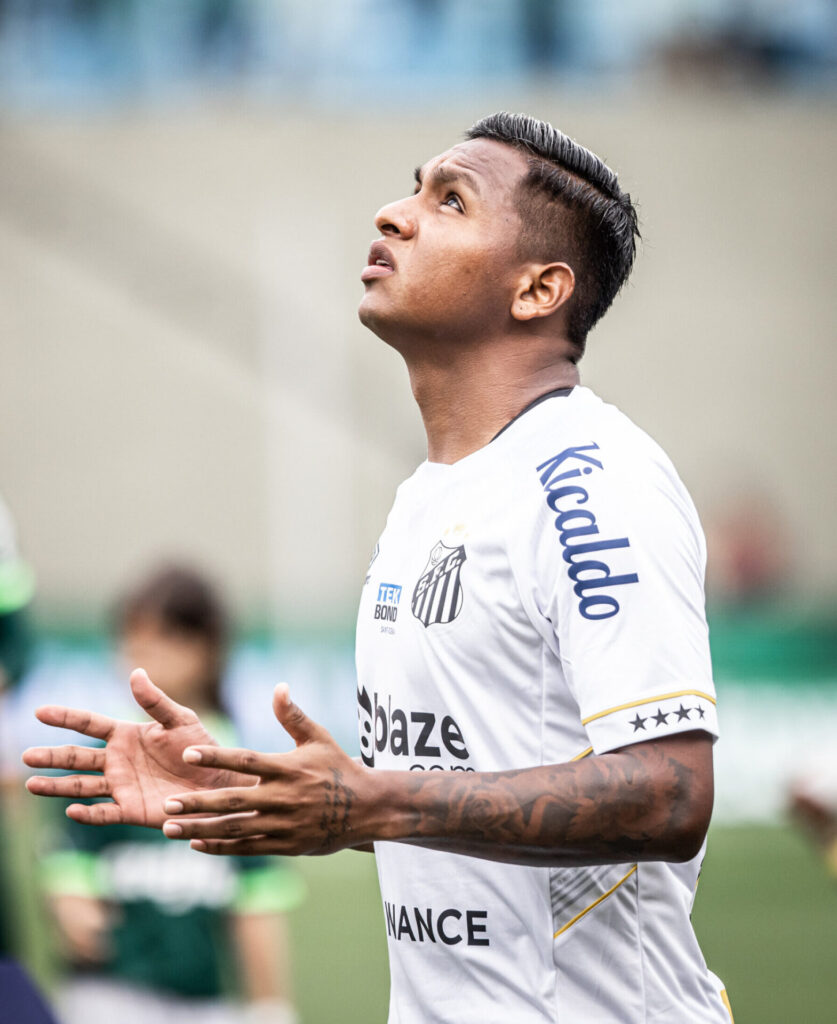 Foto: Portal do Santos