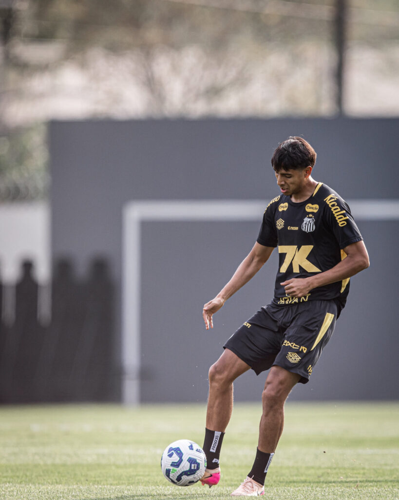 Foto: Raul Baretta / Santos