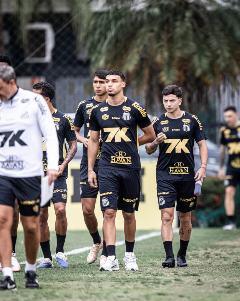 Foto: Raul Baretta/Santos FC