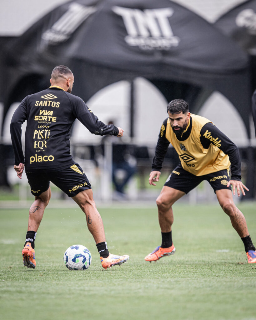 Foto: Raul Baretta / Santos