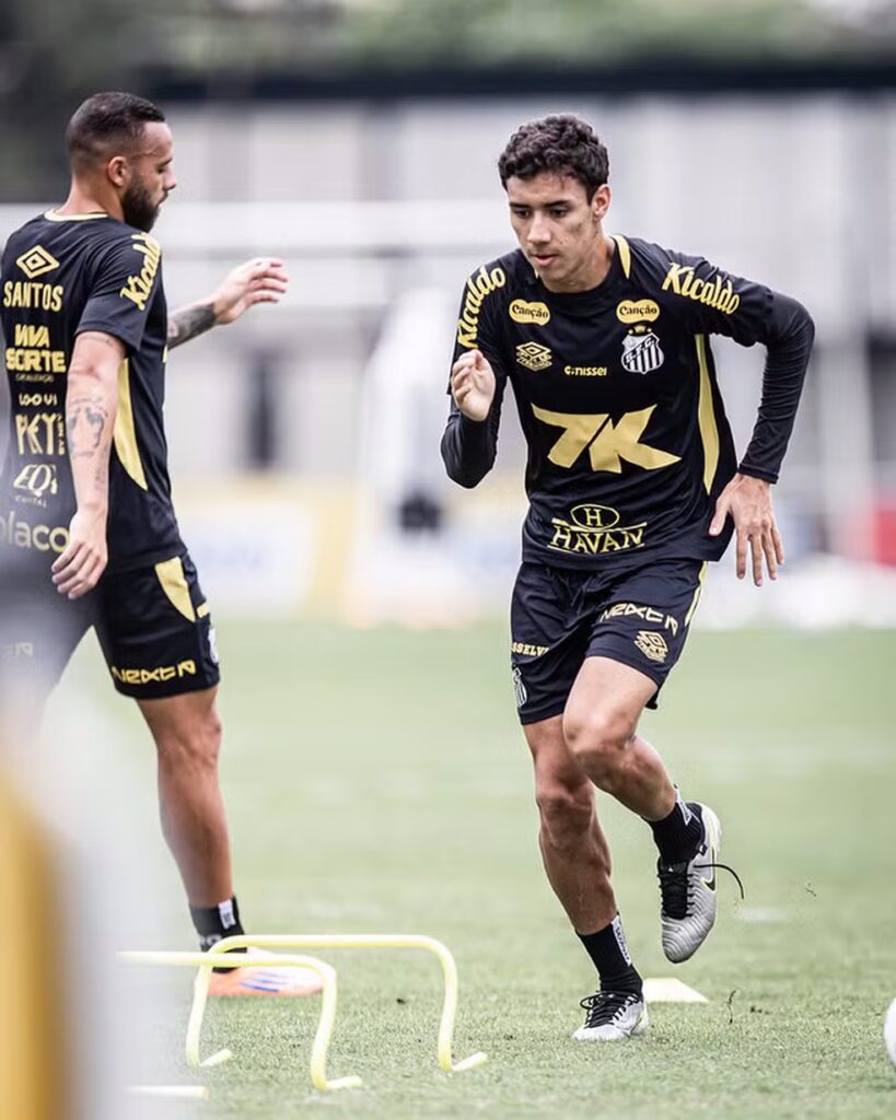 Foto: Raul Baretta/ Santos FC