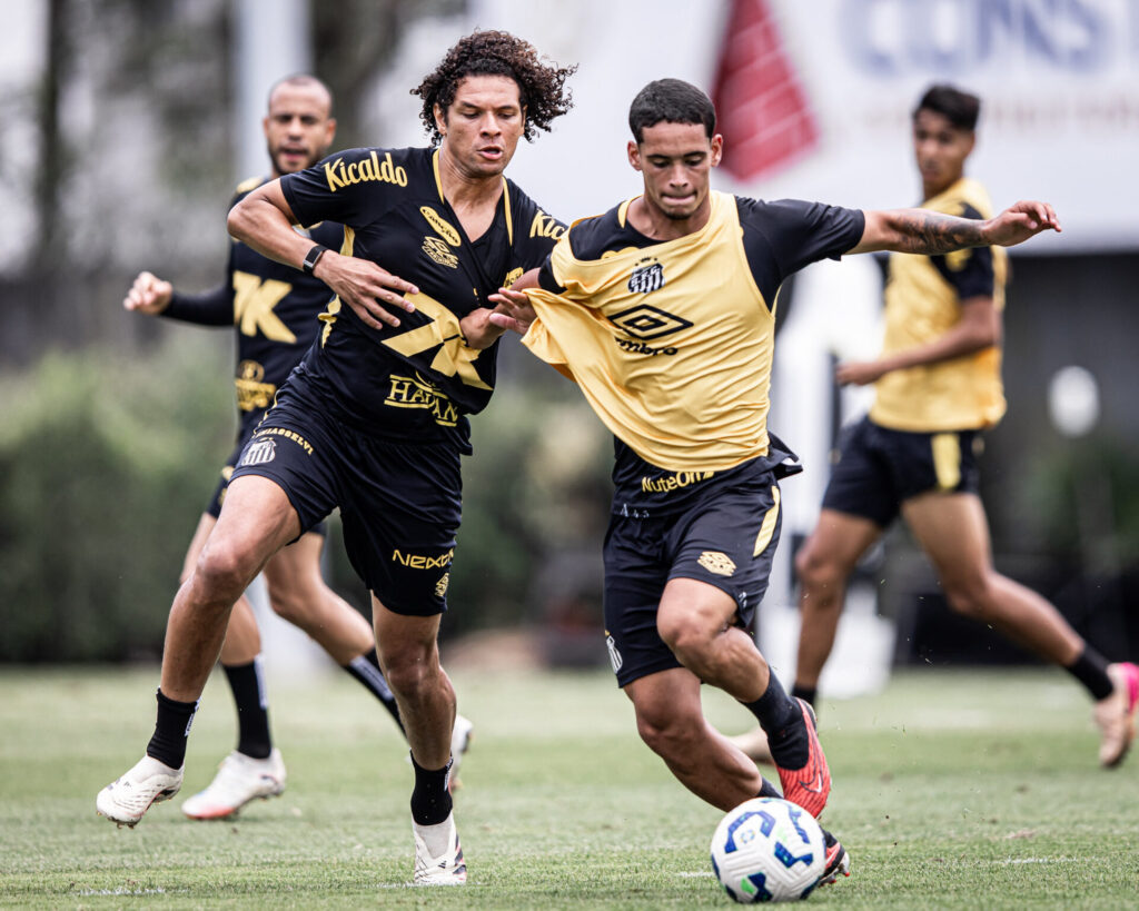 Foto: Raul Baretta / Santos