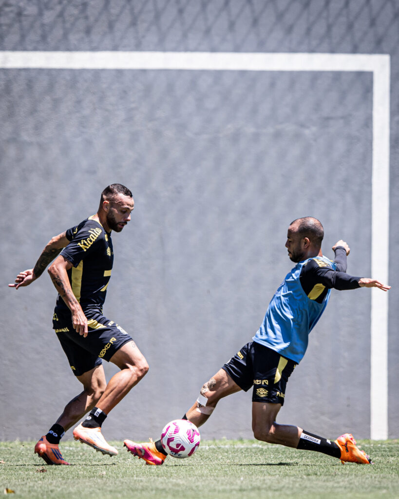 Foto: Raul Baretta / Santos