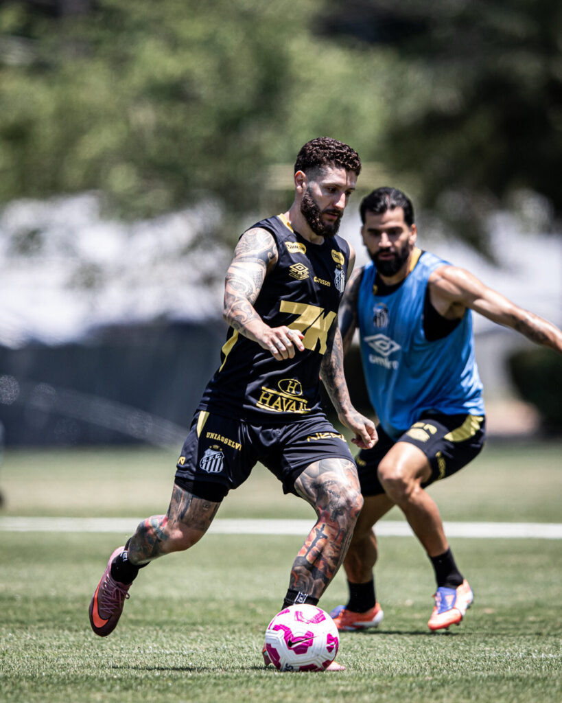 Foto: Raul Baretta / Santos