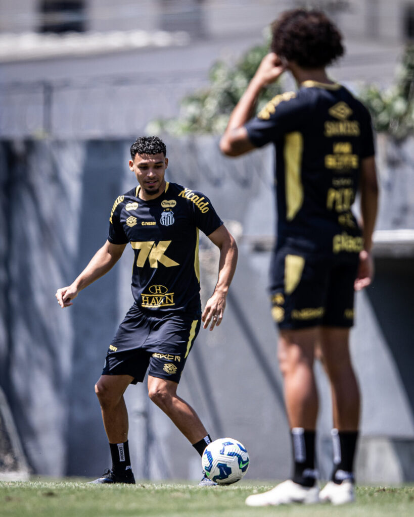 Foto: Raul Baretta / Santos