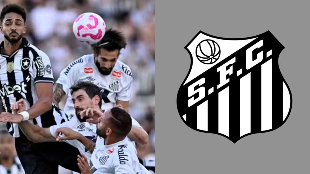 Capas para matérias (11)