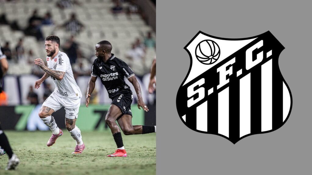 Capas para matérias (13)