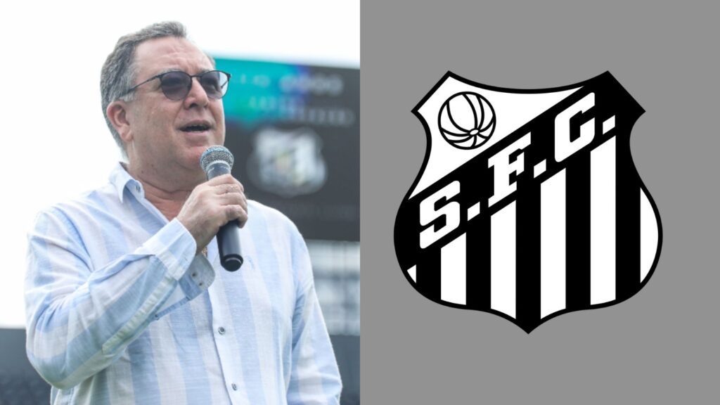 Capas para matérias (13)