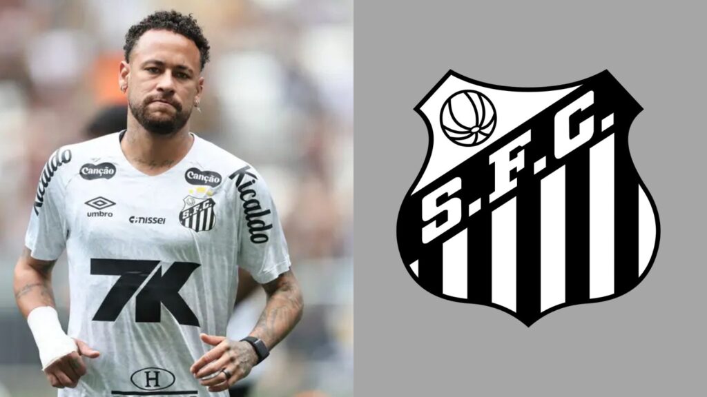 Capas para matérias (15)