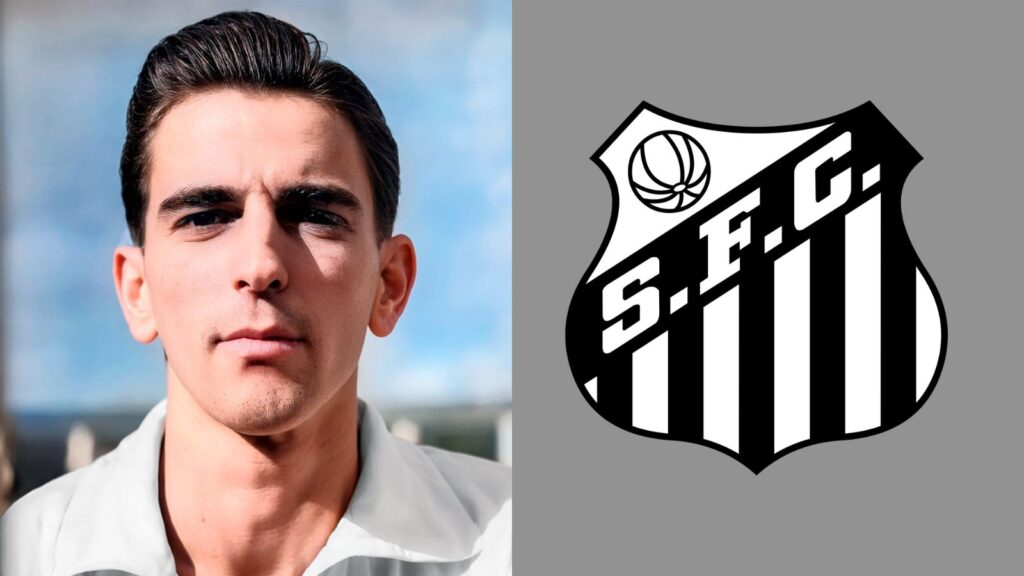 Capas para matérias (20)