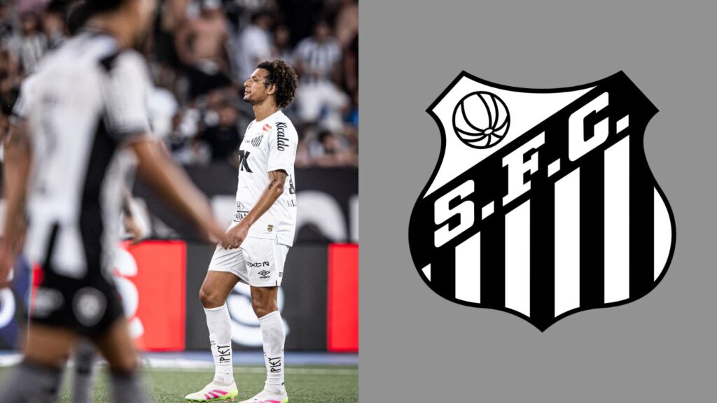 Capas para matérias (25)