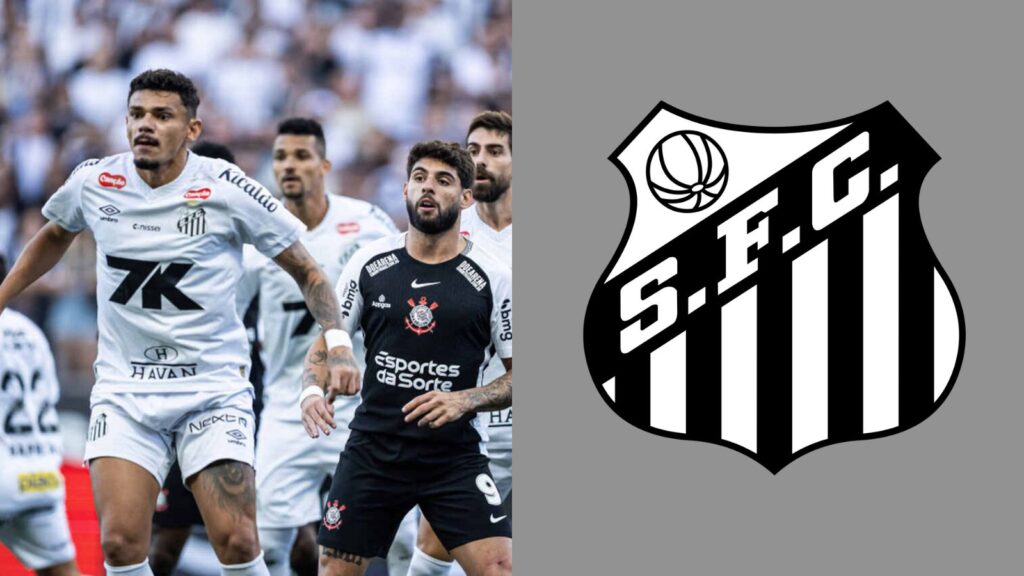 Capas para matérias (4)