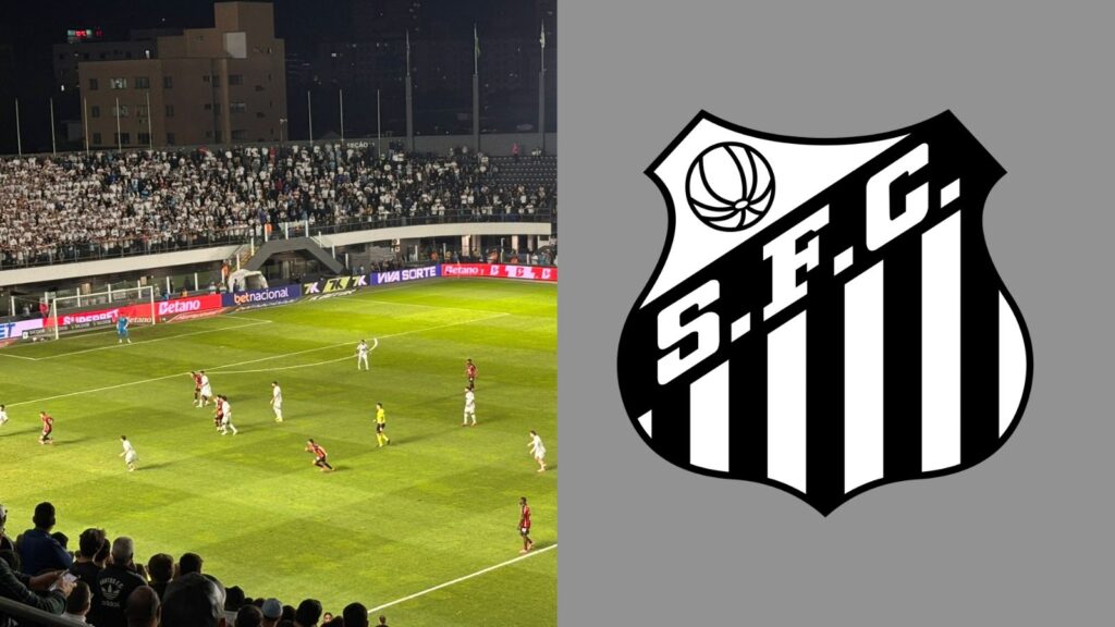 Capas para matérias (45)