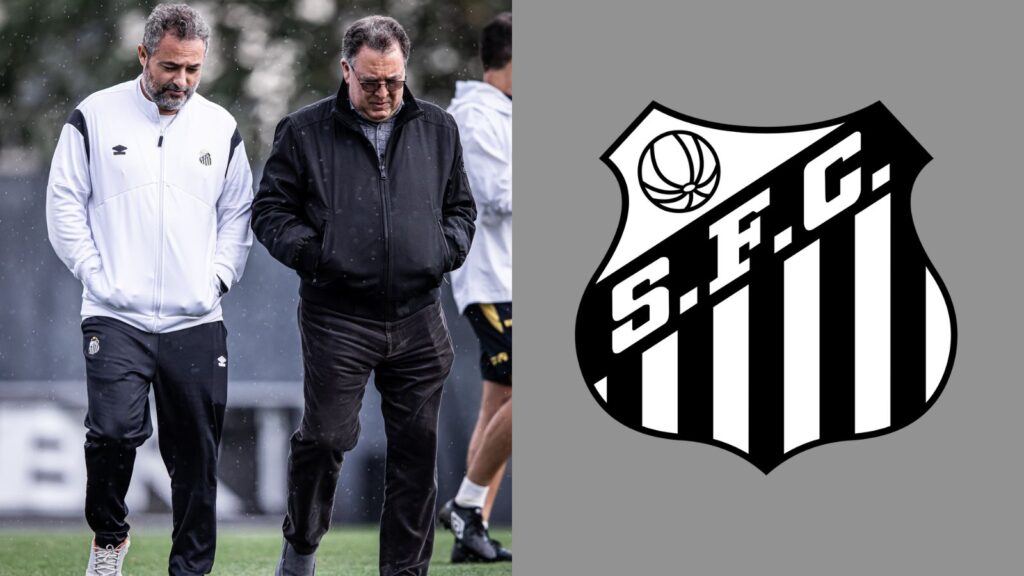 Capas para matérias (46)