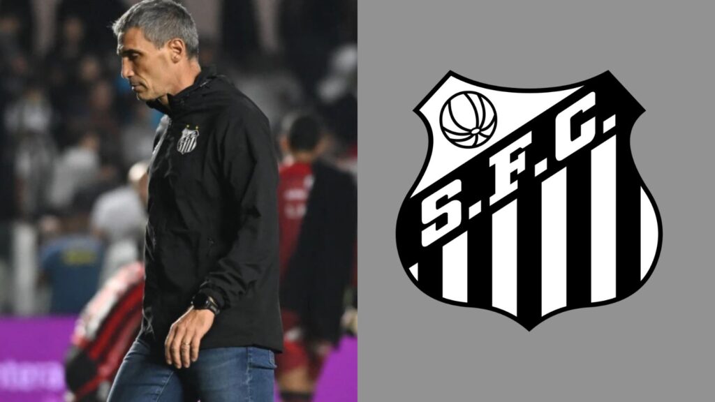 Capas para matérias (47)