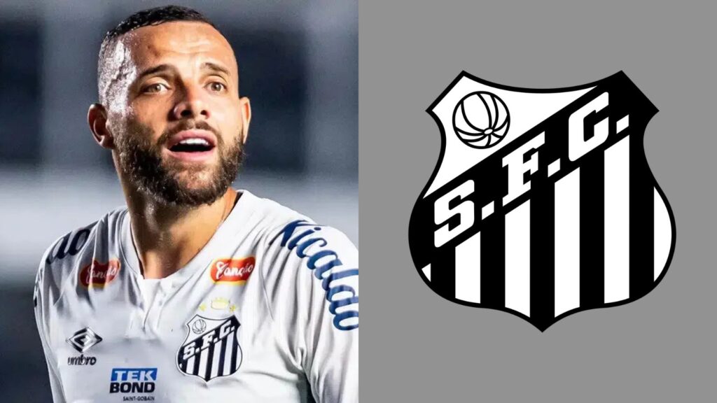 Capas para matérias