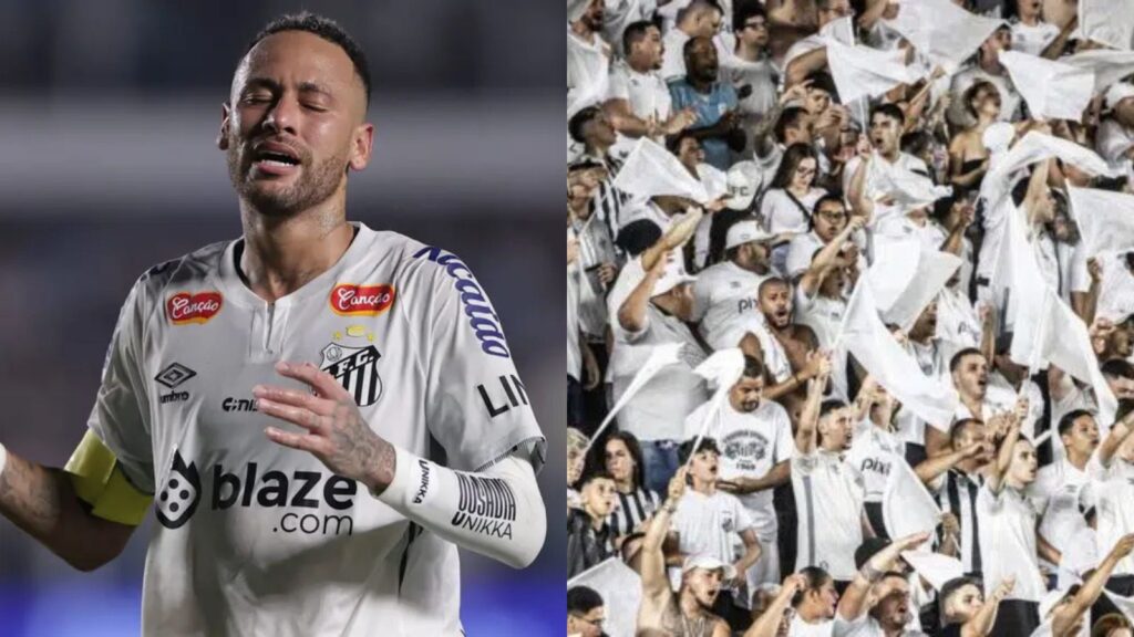 Capas para matérias (5)