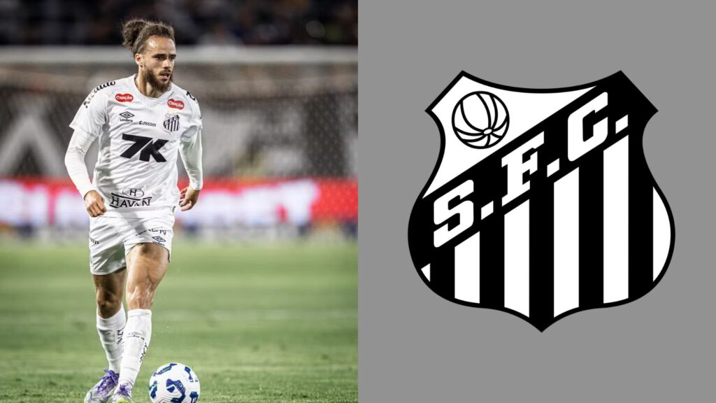 Capas para matérias (74)