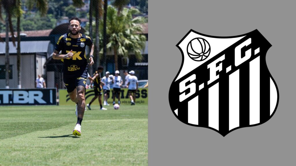 Capas para matérias (78)