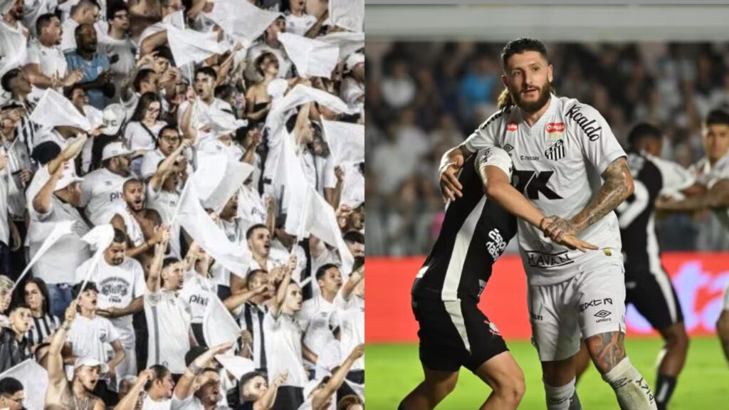 Capas para matérias (79)