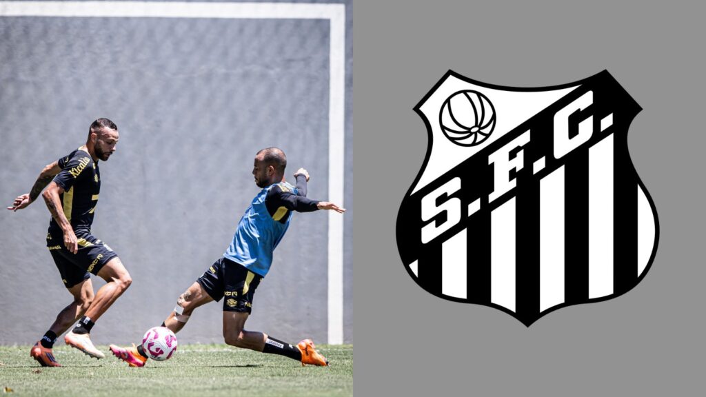 Capas para matérias (82)