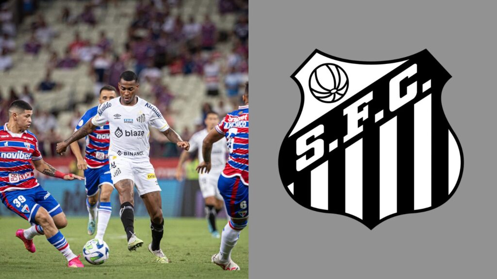 Capas para matérias (9)