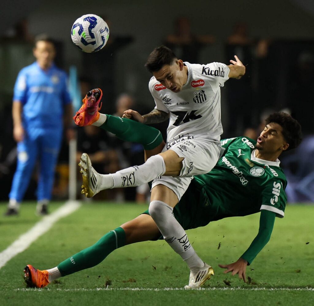 Foto: César Greco / Palmeiras - santos